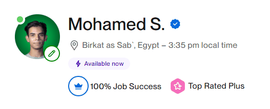بروفايل Mohamed Samer على Upwork – Top Rated Plus و 100% Job Success